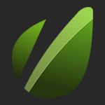 Group logo of Envato