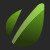 Group logo of Envato